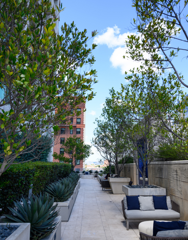 outdoor seating area with trees
